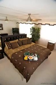 The Alexander Periwinkle - 33