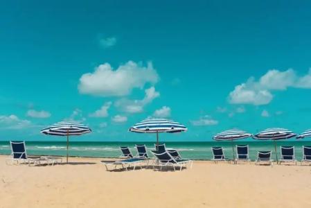 The Alexander Periwinkle - 21