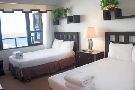 The Alexander Periwinkle - 605