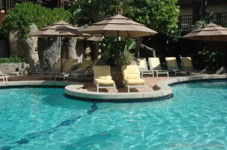 The Alexander Periwinkle - 31