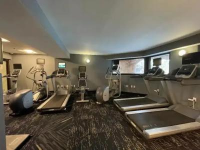 The Alexander Periwinkle - 18