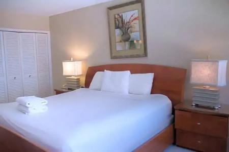 The Alexander Periwinkle - 610