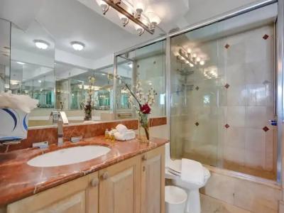 The Alexander Periwinkle - 411