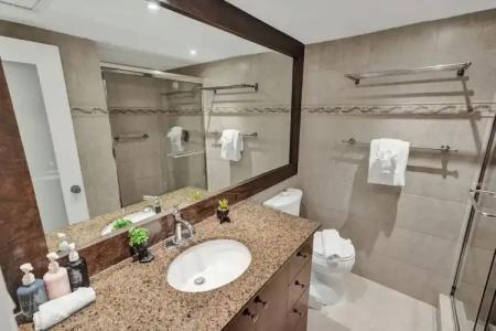 The Alexander Periwinkle - 548