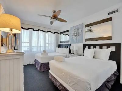 The Alexander Periwinkle - 404