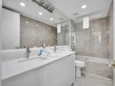 The Alexander Periwinkle - 504