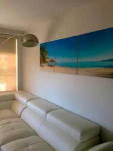 The Alexander Periwinkle - 601