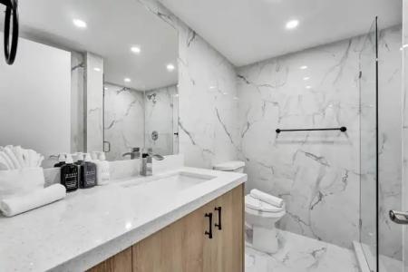 The Alexander Periwinkle - 560