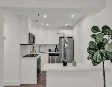 The Alexander Periwinkle - 66