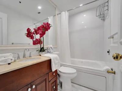 The Alexander Periwinkle - 532