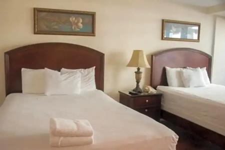 The Alexander Periwinkle - 660