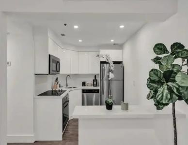 The Alexander Periwinkle - 269