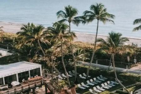 The Alexander Periwinkle - 20