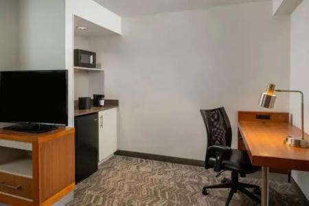 SpringHill Suites Orlando Convention Center/International Drive Area - 55