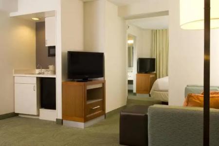 SpringHill Suites Orlando Convention Center/International Drive Area - 65