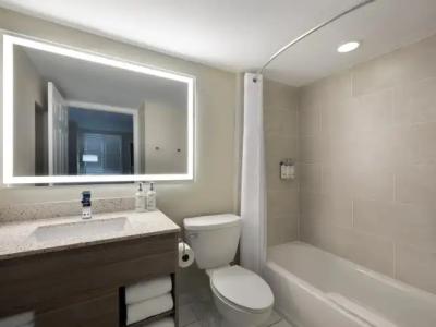 Holiday Inn Resort ORLANDO SUITES - WATERPARK by IHG - 10