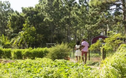 The Ritz-Carlton Orlando, Grande Lakes - 33