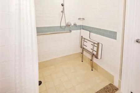 Hilton Grand Vacations Club Parc Soleil Orlando - 8