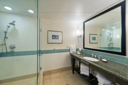 Hilton Grand Vacations Club Parc Soleil Orlando - 48