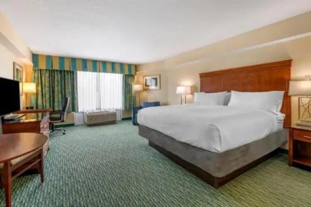 Holiday Inn Resort ORLANDO LAKE BUENA VISTA by IHG - 70