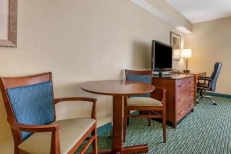 Holiday Inn Resort ORLANDO LAKE BUENA VISTA by IHG - 61