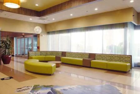 Holiday Inn Resort ORLANDO LAKE BUENA VISTA by IHG - 18