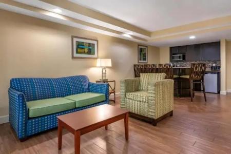 Holiday Inn Resort ORLANDO LAKE BUENA VISTA by IHG - 101