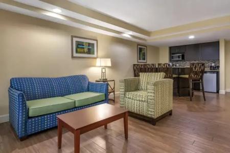 Holiday Inn Resort ORLANDO LAKE BUENA VISTA by IHG - 86