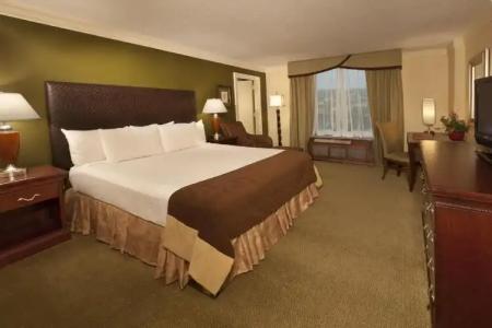 Rosen Centre Orlando Convention Center - 5