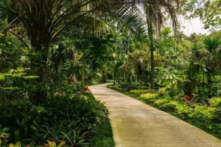 The Point & Suites Universal - 45