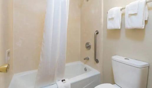 Rosen Inn Closest to Universal - 52