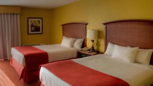 Rosen Inn Closest to Universal - 3