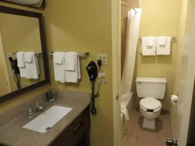 Rosen Inn Closest to Universal - 65