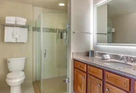 Hilton Grand Vacations Club SeaWorld® - 61