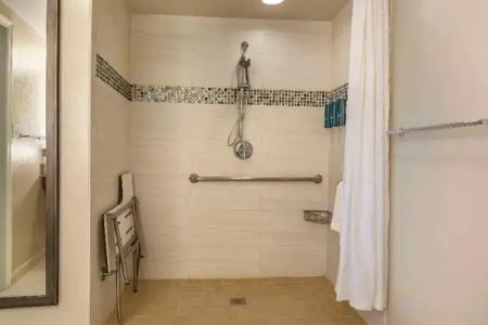 Hilton Grand Vacations Club SeaWorld® - 41