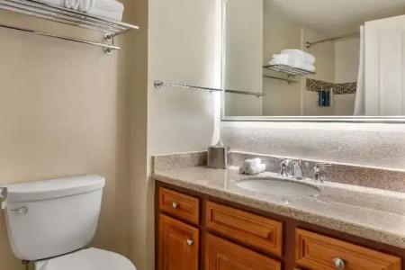 Hilton Grand Vacations Club SeaWorld® - 64