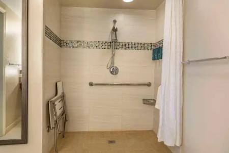 Hilton Grand Vacations Club SeaWorld® - 8