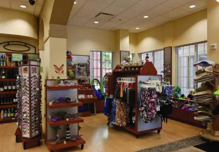 Marriott's Grande Vista - 12