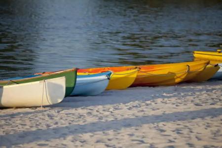 Hyatt Regency Grand Cypress Resort - 25