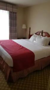 Spark by Hilton Orlando Universal Blvd - 38