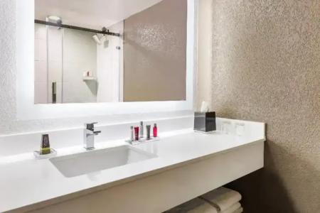 Marriott Orlando Airport Lakeside - 44