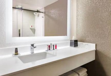 Marriott Orlando Airport Lakeside - 9