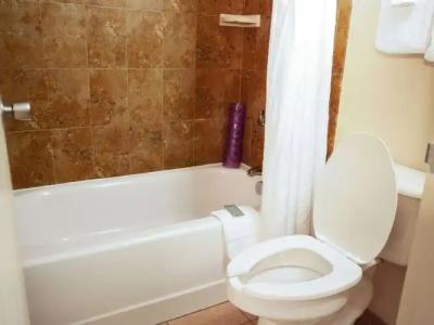 Rosen Inn at Pointe - 54