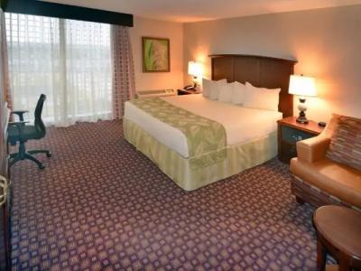 Rosen Inn at Pointe - 56