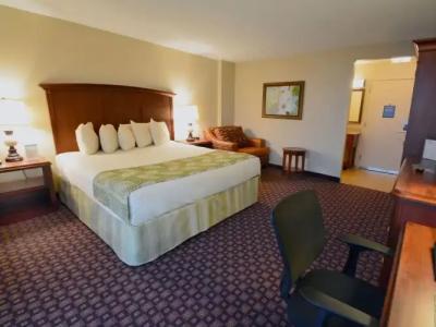 Rosen Inn at Pointe - 57