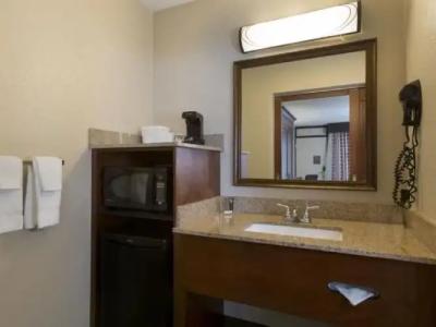 Rosen Inn at Pointe - 55