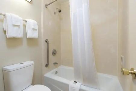 Rosen Inn at Pointe - 8