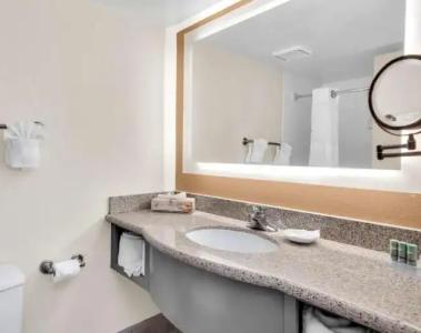 Best Western Orlando Gateway - 82