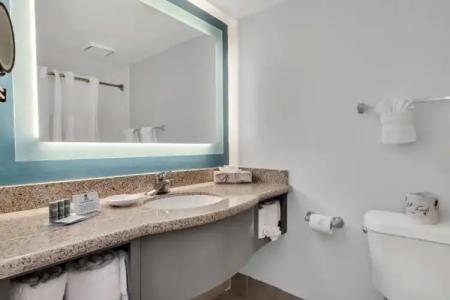 Best Western Orlando Gateway - 52