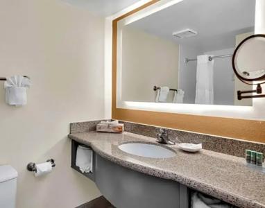 Best Western Orlando Gateway - 77